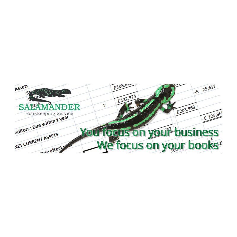 Salamander Bookkeeping