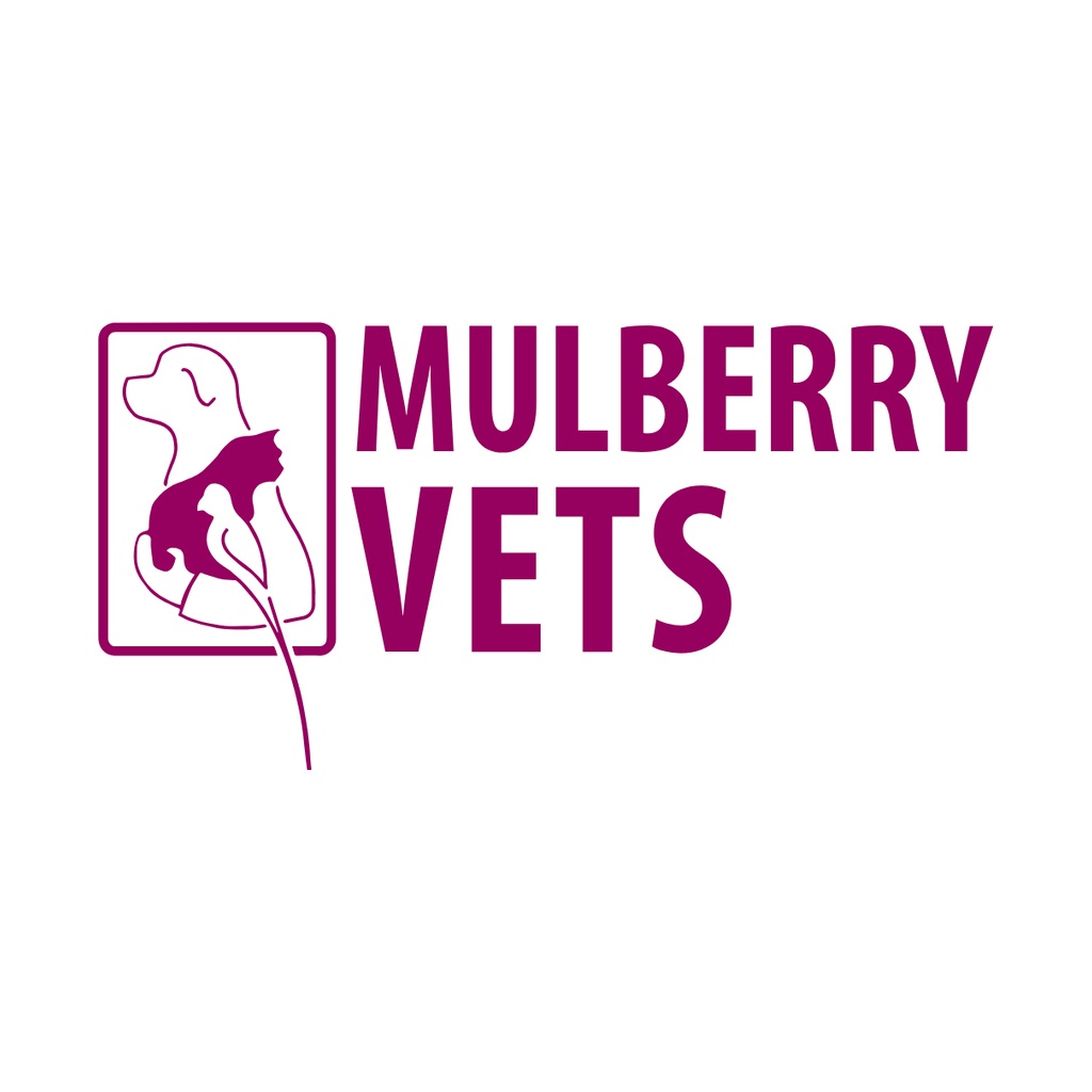 Mulberry Vets